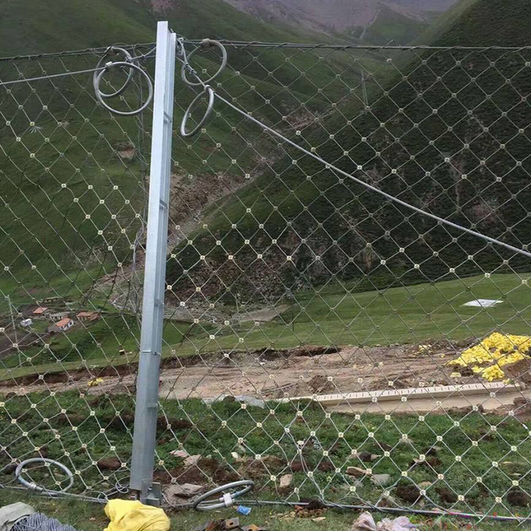 Successful Applications of Slope Protection Net