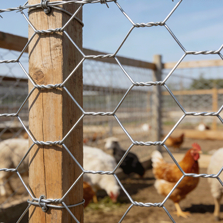 Product Showcase of Vinyl Coated Chain Link Fence