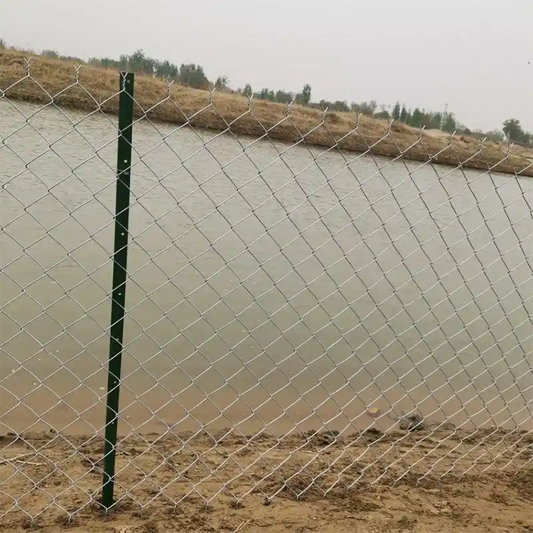 Premium Rabbit Proof Fencing Wire for Reliable Protection