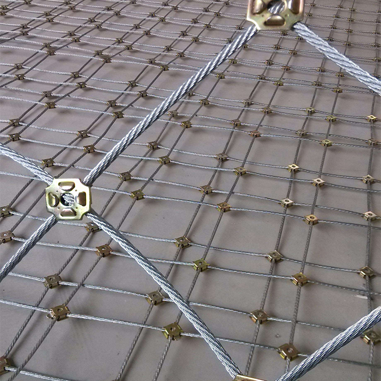 Robust Construction for Maximum Durability