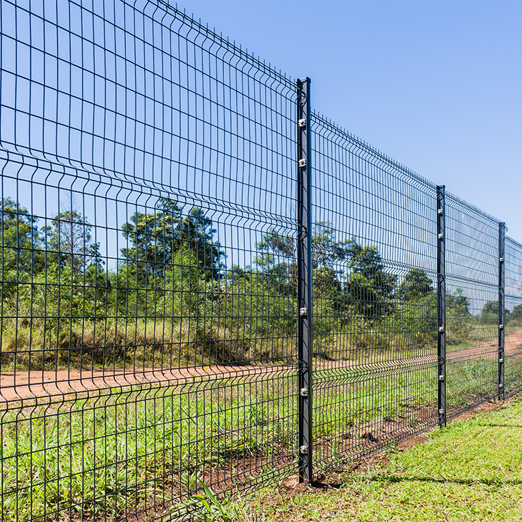 Explore Our Backyard Chain Link Fences