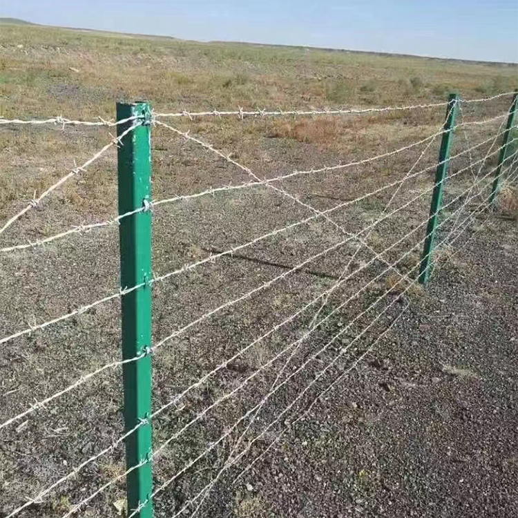 Explore Our Premium Agricultural Fencing Nets