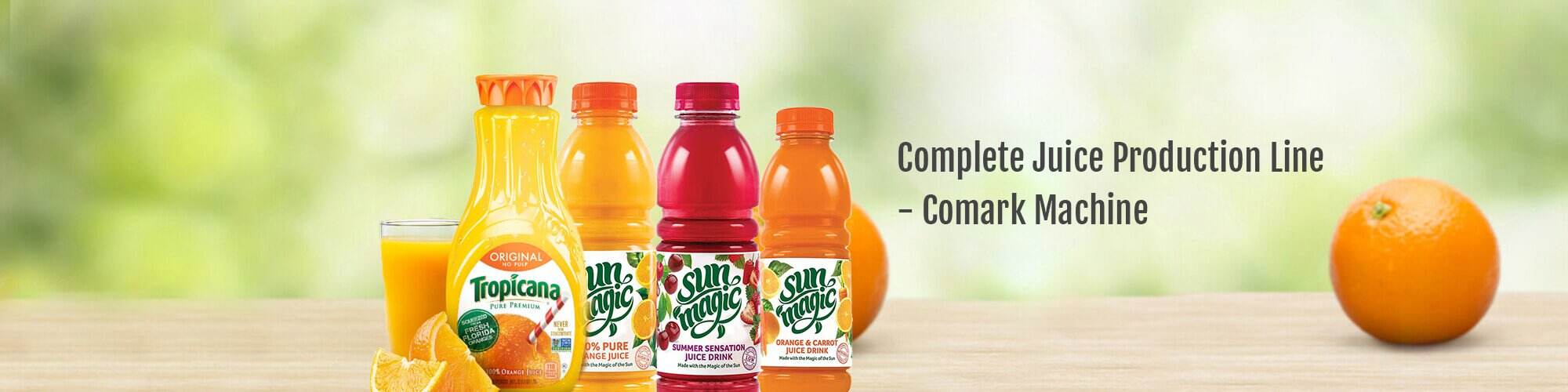 Complete Juice Production Line