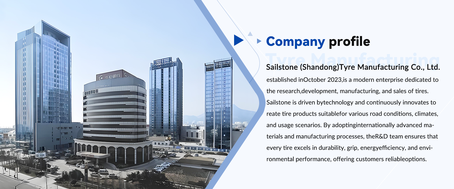 Company profile
