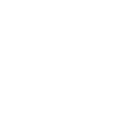 Professional Construction Team