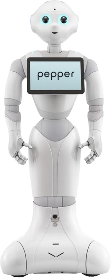 Perché le aziende investono in robot commerciali avanzati?