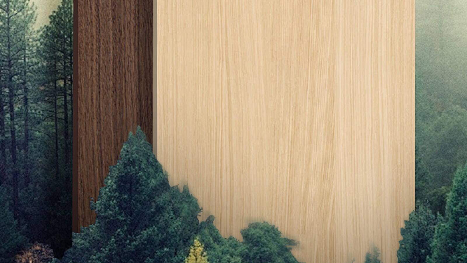 GREEN AND ENVIRONMENTALLY(f65e5243e8).jpg