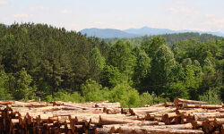 ARCHITECTURAL STABILITY.jpg