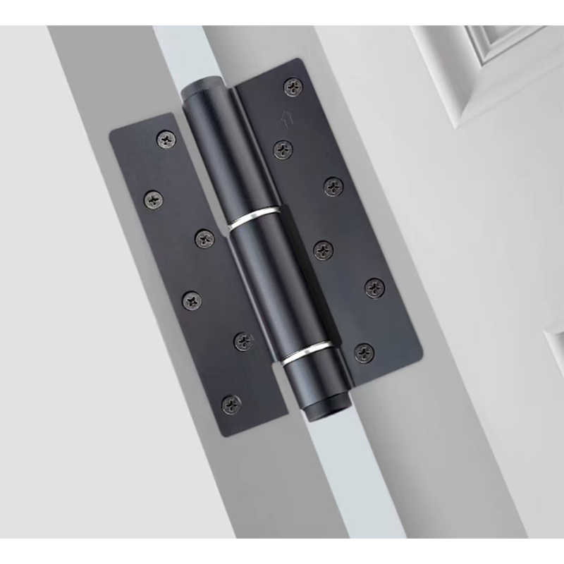 SWL.1571 High-end Style 5-inch D-shaped Hydraulic Hinge