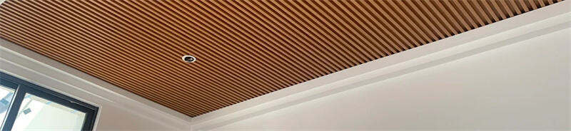 OUTDOOR-CEILING.jpg