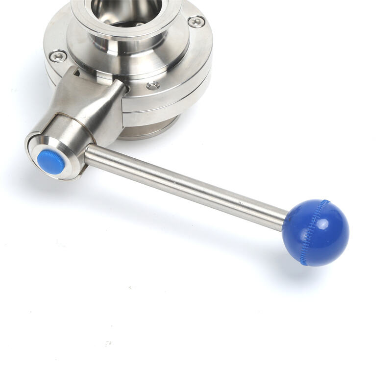 The Engineering Design Behind Butt Weld Flange Assemblies