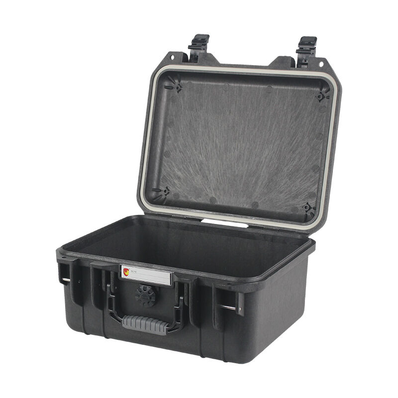 Robusta konstrukcija