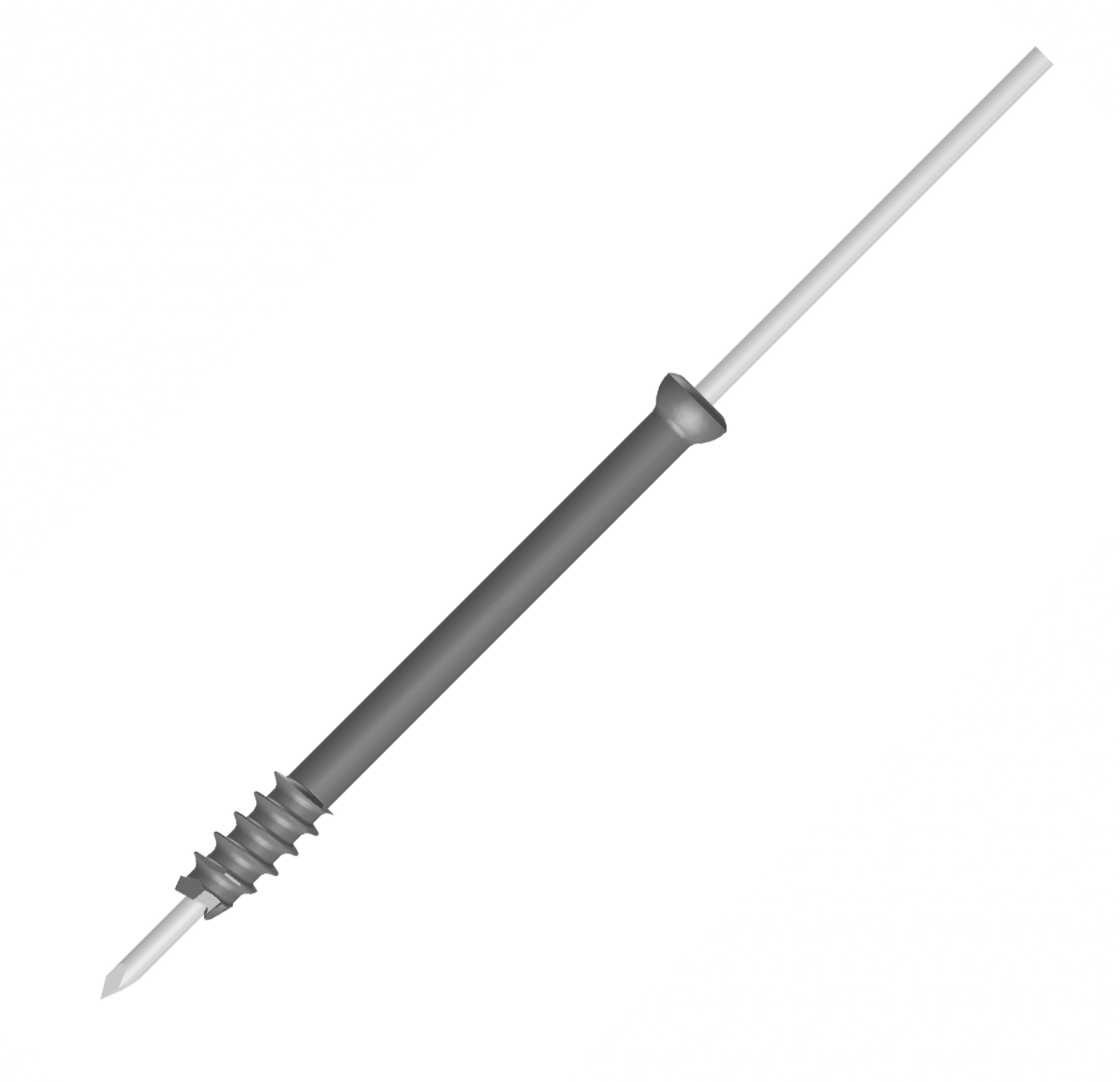 Cannulated Screws