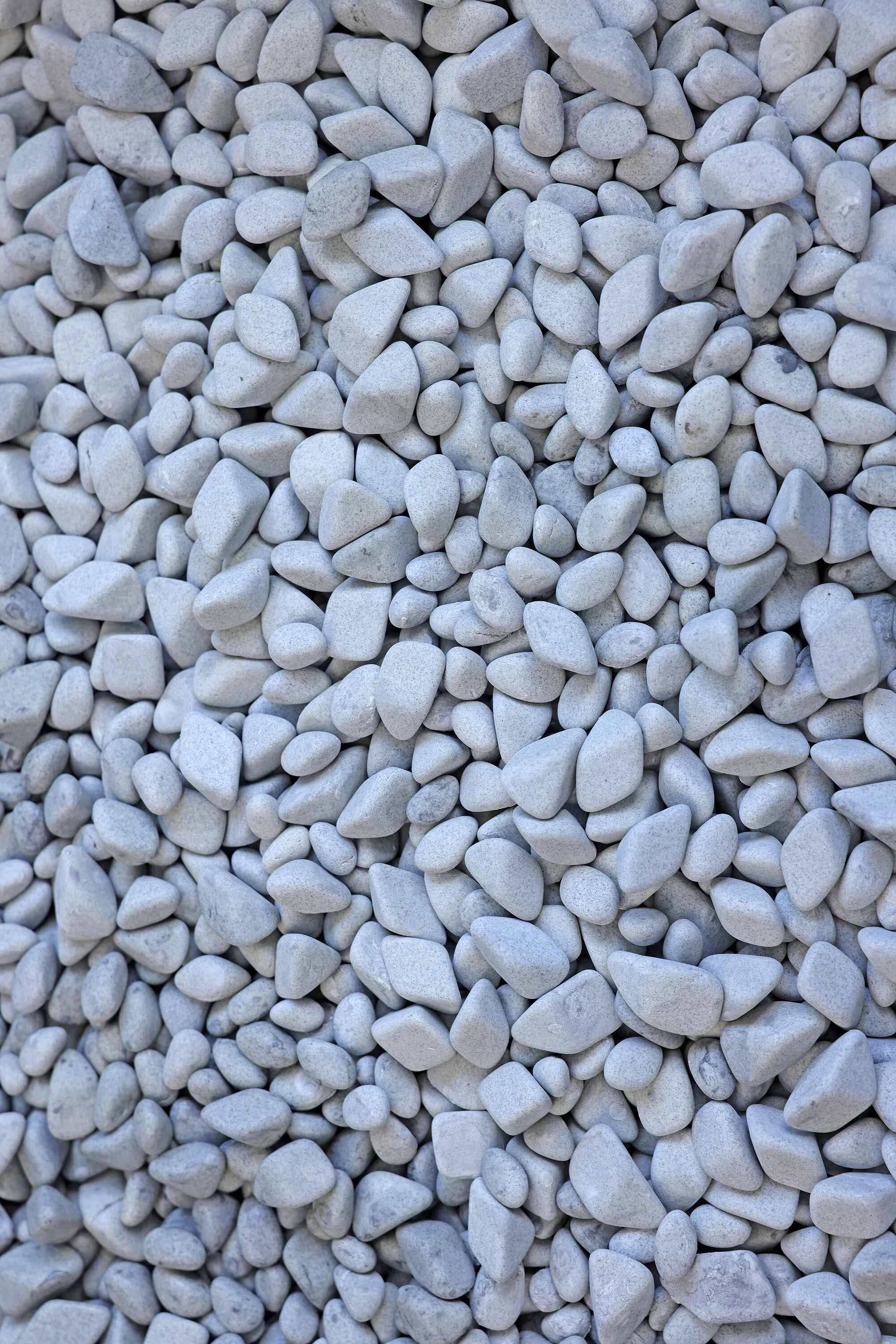 Регулаторна експертност и поддръжка