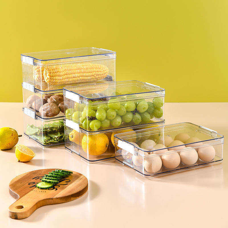  Enhance Your Kitchen with Premium Fridge Organizers