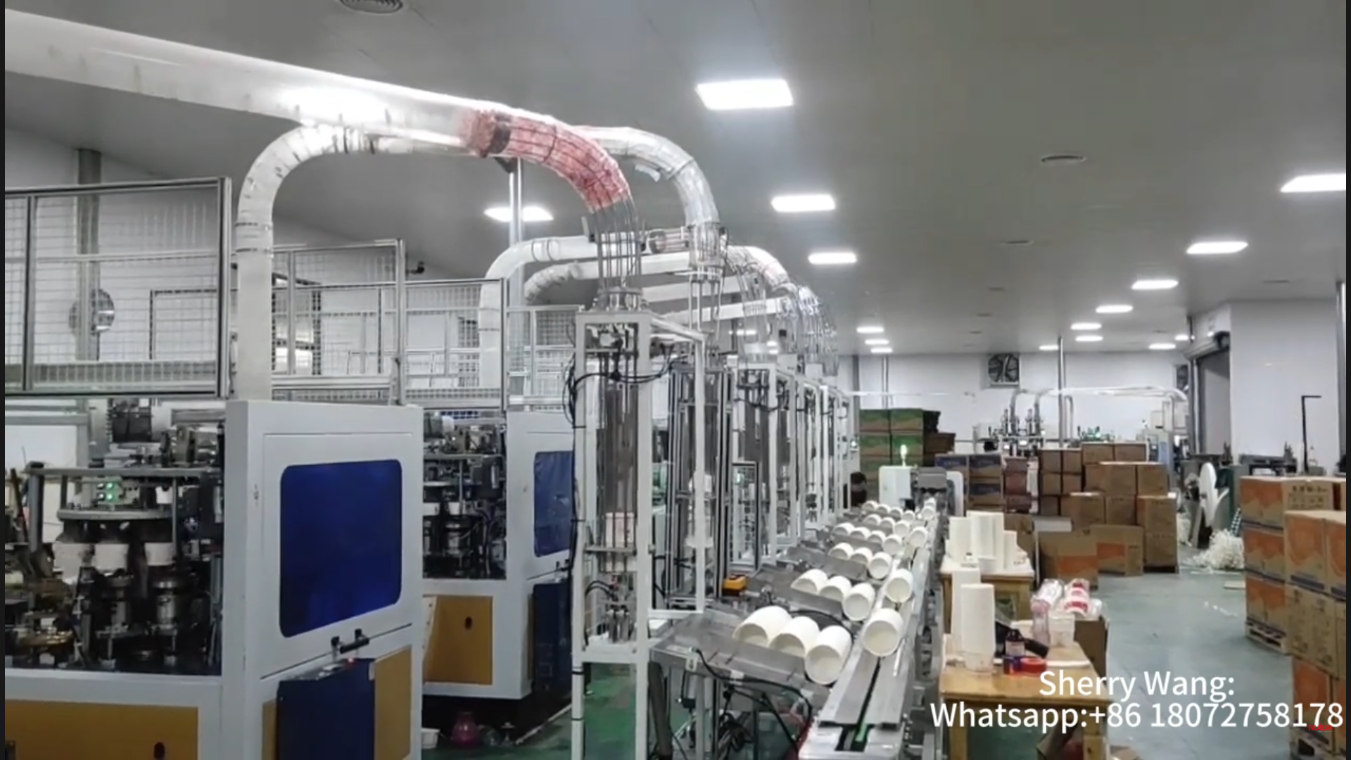 fabriek voor papieren kommachines met automatisch verpakkingsapparaat