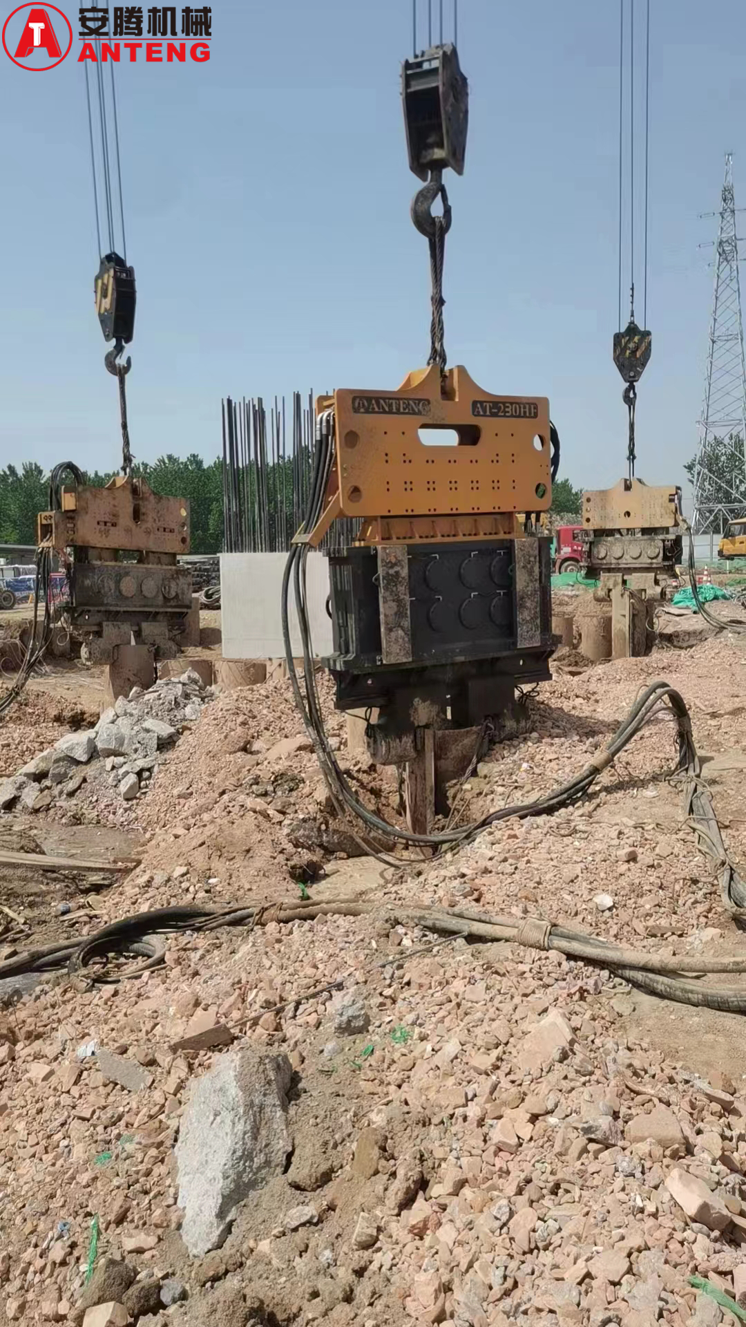 Exceptional Versatility and Adaptability