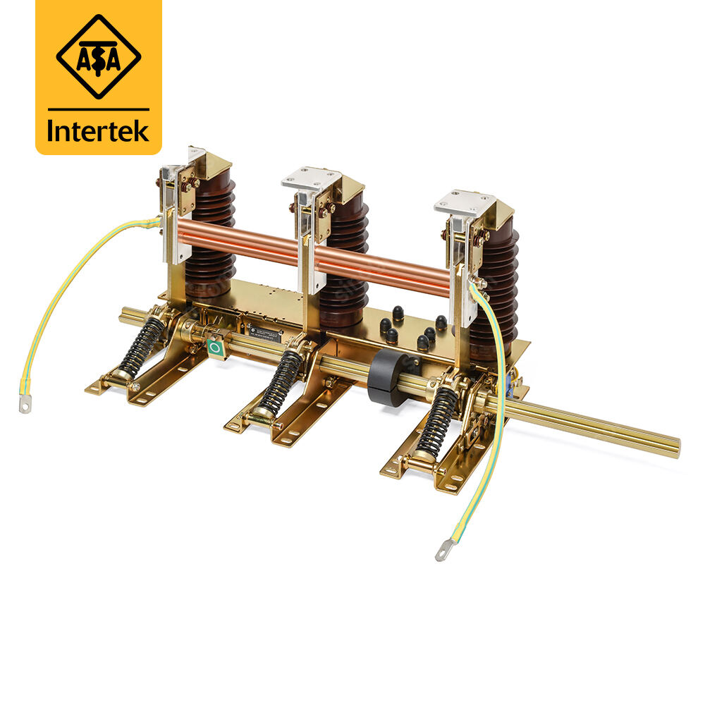 Motorized Earthing Switch GPJN15-24/D40-275(R)