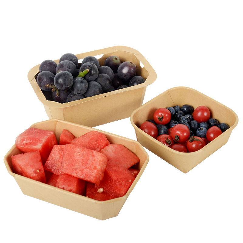 Gestión Optimizada de la Cadena de Suministro y Excelencia Logística