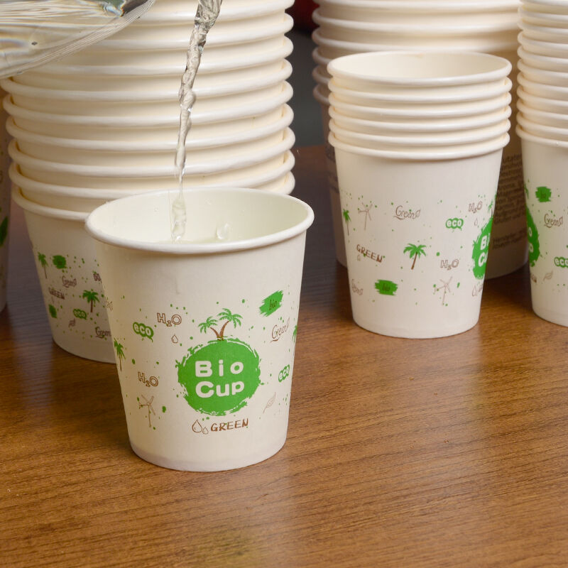 Zašto su PLA prekrivene papirnate čaše budućnost održivih rješenja za piće?