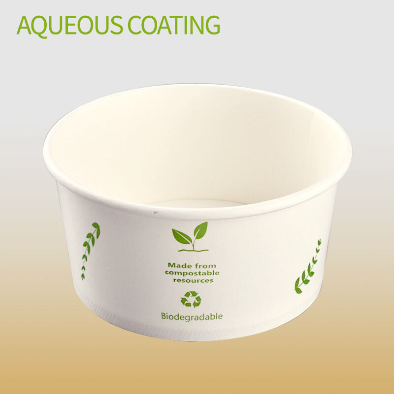 Water-based Coating Paper Bowl
