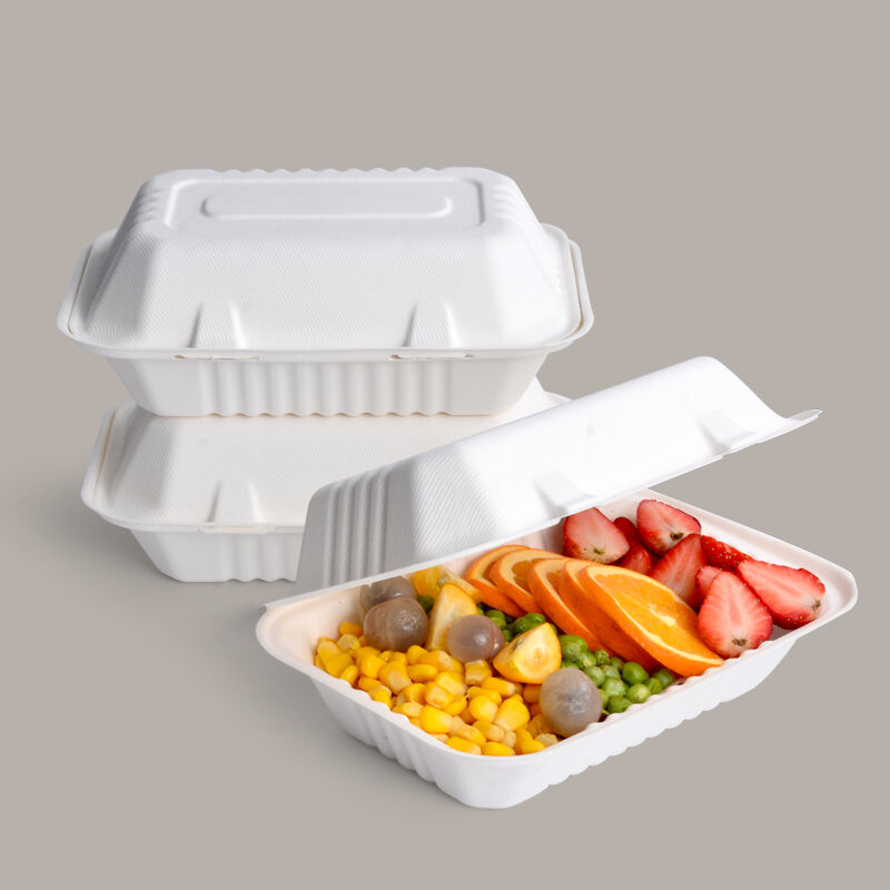 Durabilitate Excepțională și Performanță Rentabilă