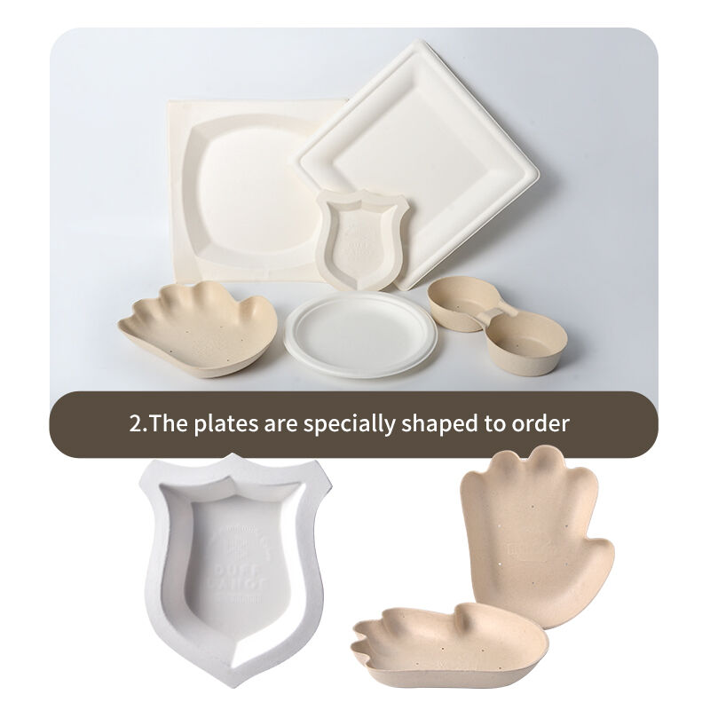 혁신적인 생분해성 코팅 기술