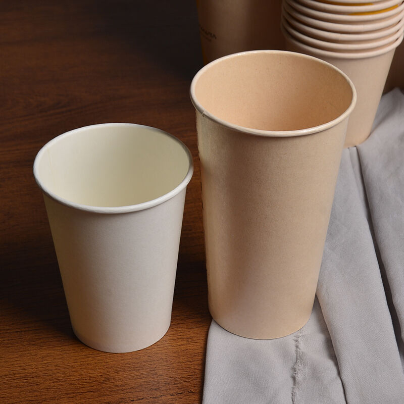 Sustenabilitate Ecologică și Biodegradabilitate Superioară