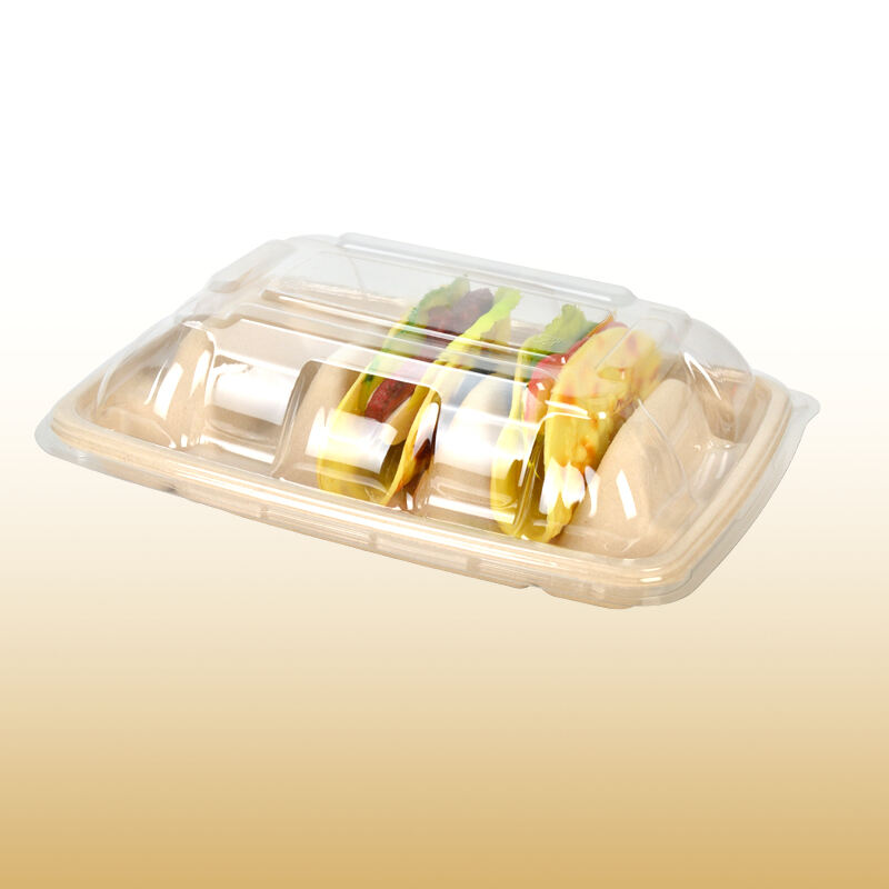 Sugarcane Tacoo Box