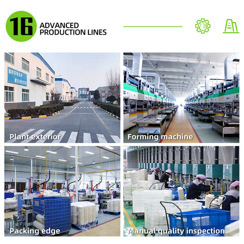 Reconocimiento Superior de Marca y Diferenciación en el Mercado