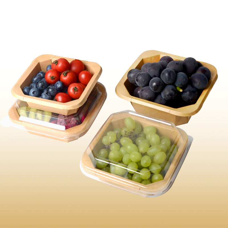 Fruit Trays-Fresh produce tray with lid
