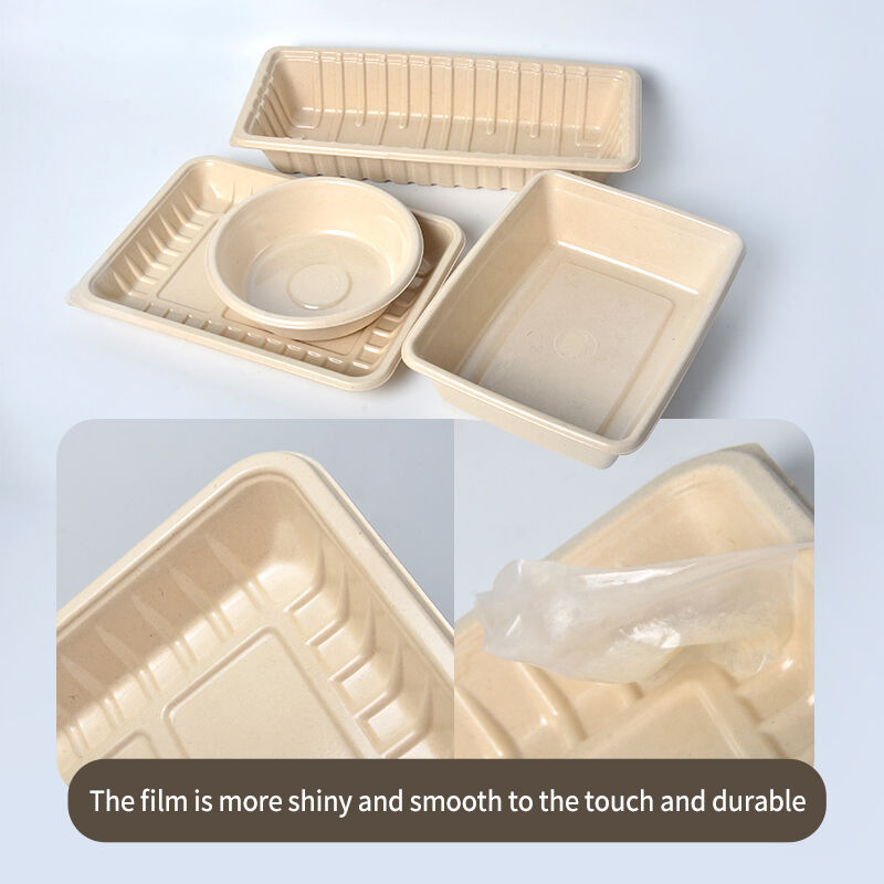 환경 지속 가능성 및 친환경 제조