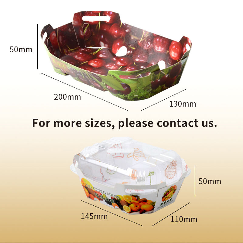 Custom Fruit Paper Tray & Foldable Fruit Carton | Eco-Friendly Fruit Packaging Solutions