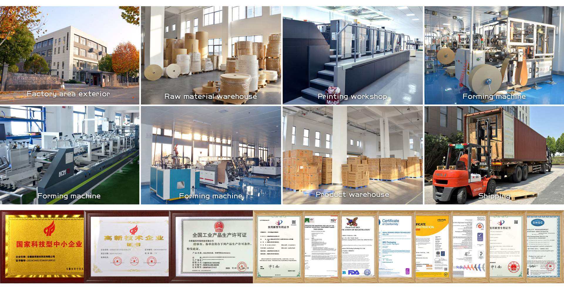 Eco Paper Punnet for Fresh Produce Factory.jpg