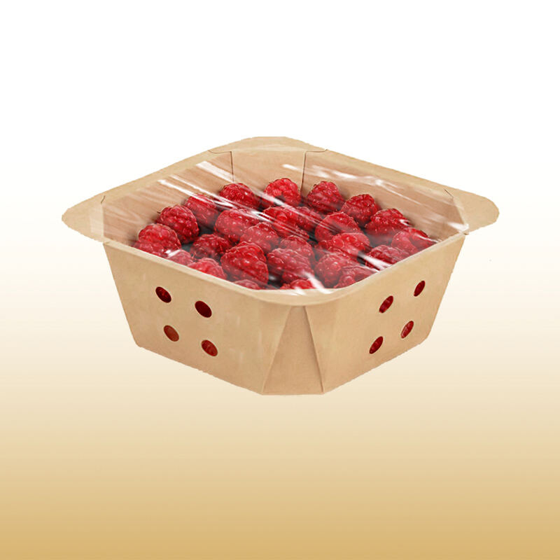 Ventilated Heatseal Card Tray