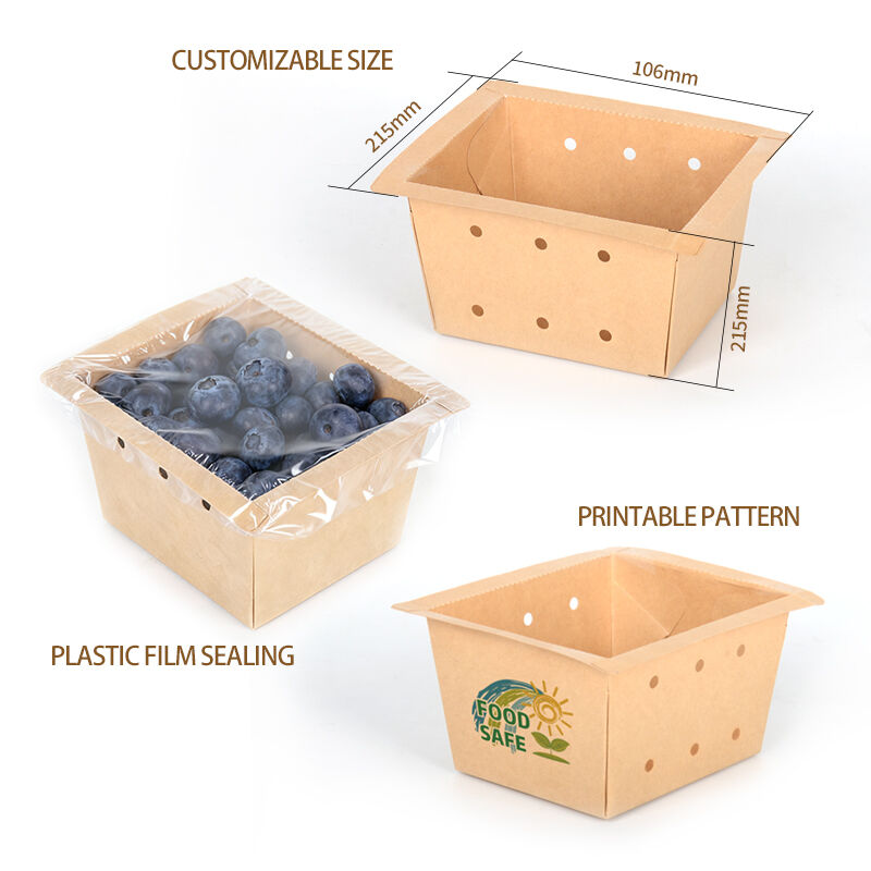 Eco Paper Perforated Fruit Packaging Box