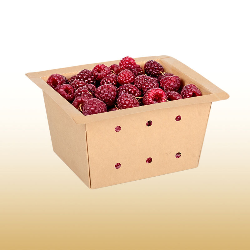 Eco Paper Perforated Fruit Packaging Box