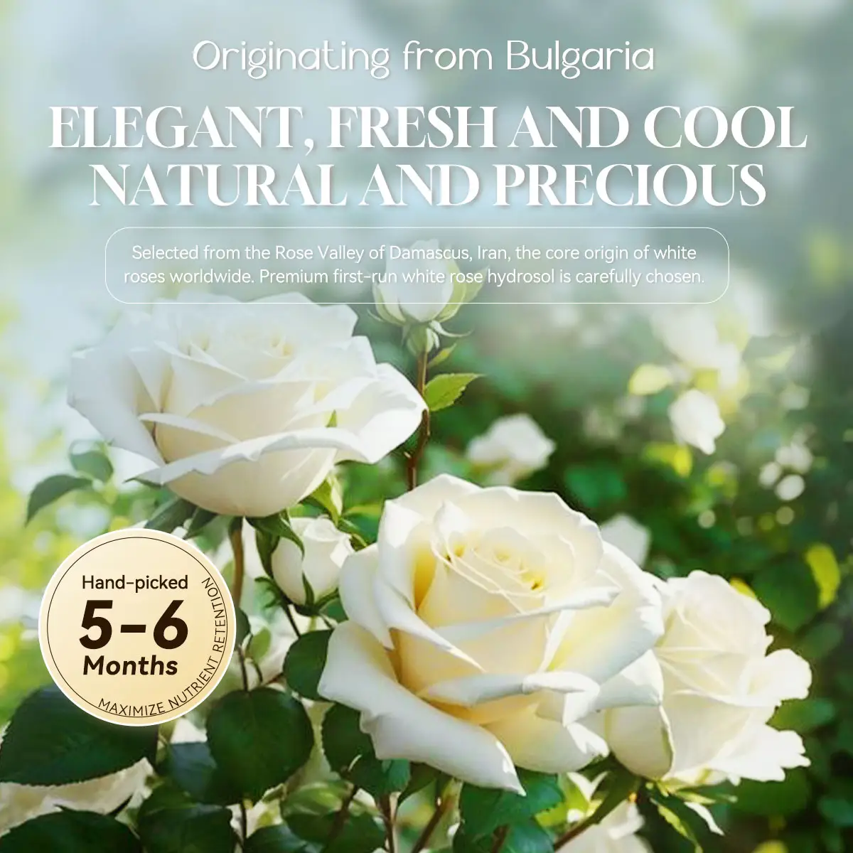 ماء وردي مهدئ مخصص للبشرة الحساسة