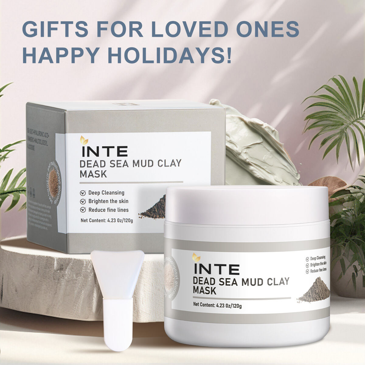 Dead Sea Mud Clay Mask