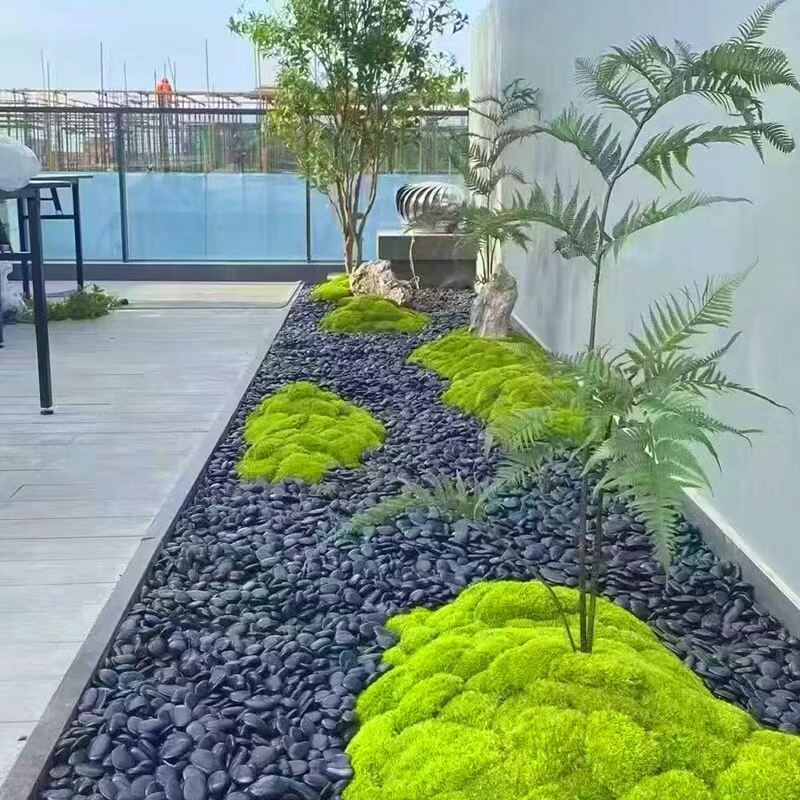 应用图2.jpg
