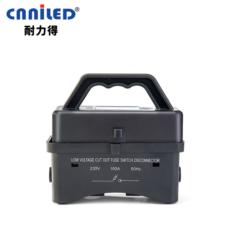 100A - Lavspennings sikring