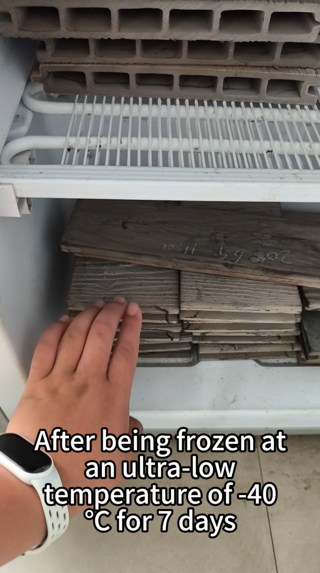 Extreme Temperature Test of WPC – From -40°C to 95°C