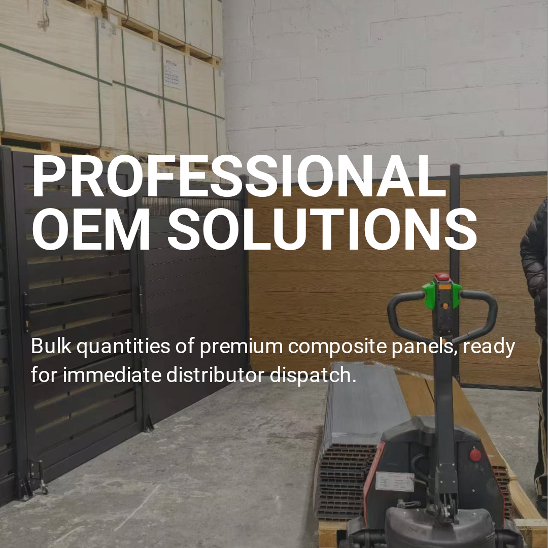 Professional_OEM_Solutions_version_1.png