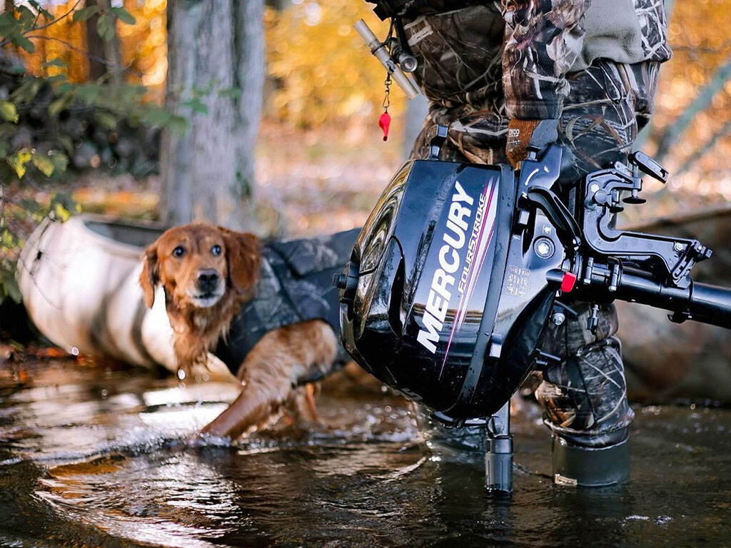 Proven Durability in Harsh Conditions