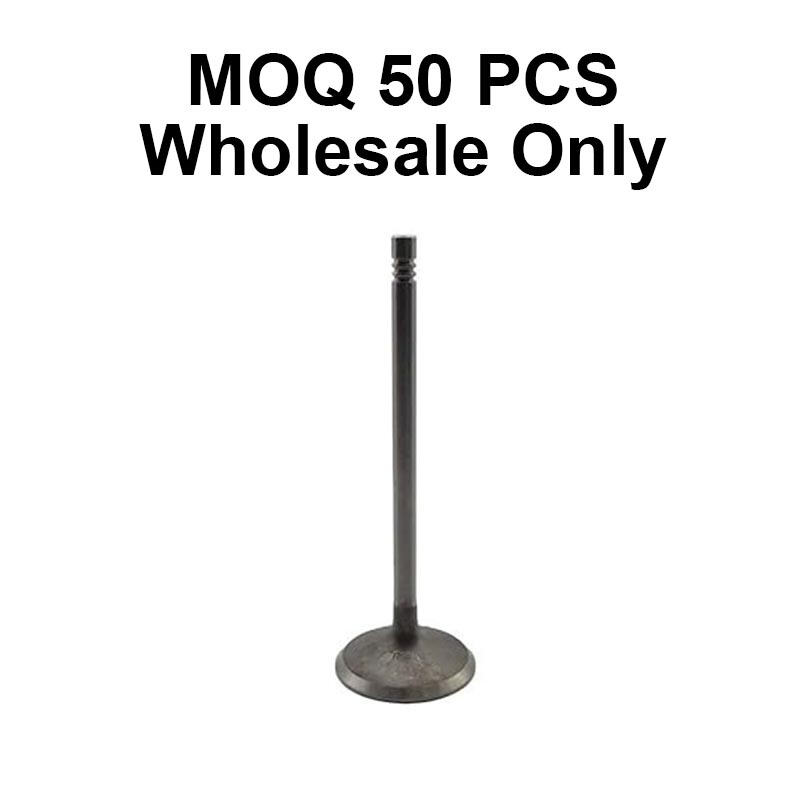 Auto Part  2.5L/3.0L Engine Intake Valve  272 053 08 01 For Mercedes Benz W204 E230 R300