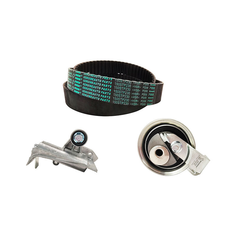 Engine Timing belt repair kit SNEIK,DZ009