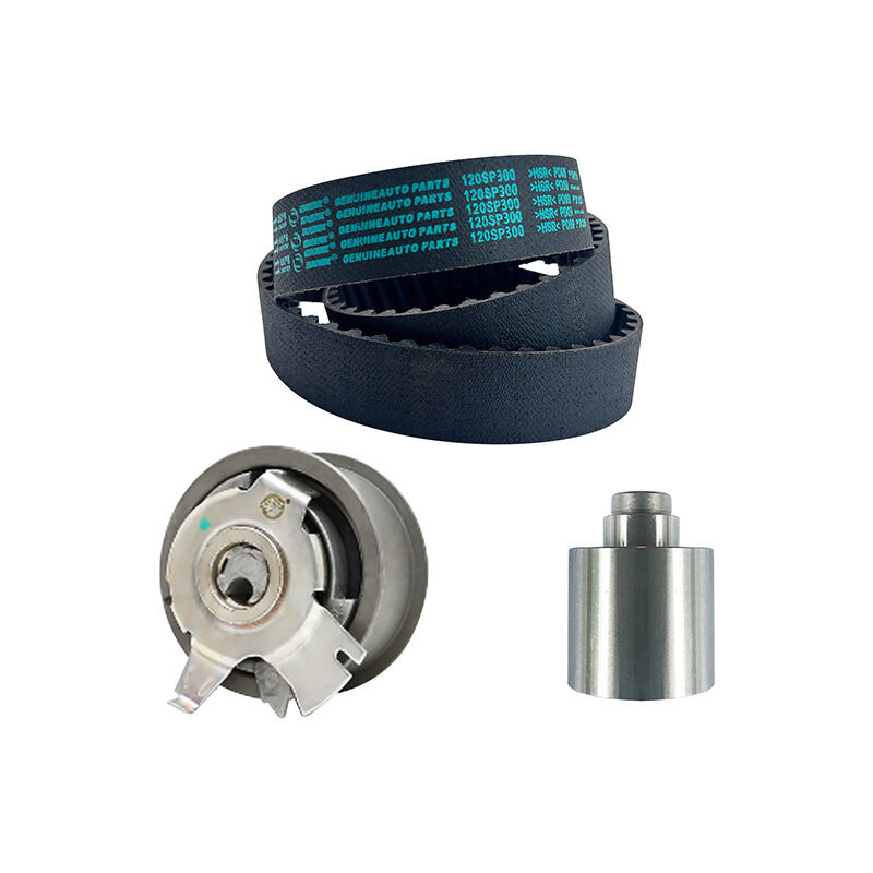 Engine Timing belt repair kit SNEIK,DZ219
