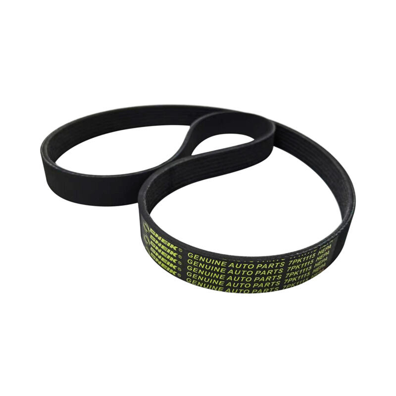 Engine accessory belt SNEIK,6PK1880
