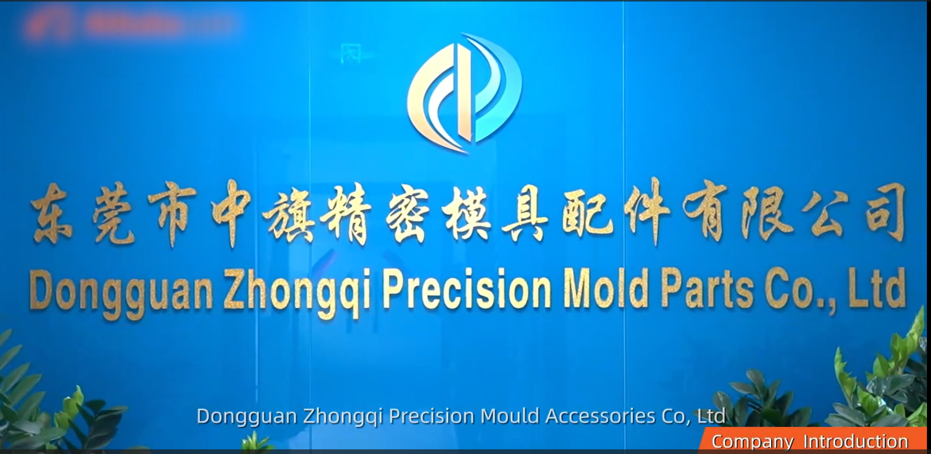 Company Introduction Video