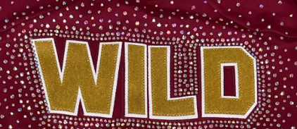 Toptan alıcılar için mevcut olan trend stilleri ve sıcak tasarımlar